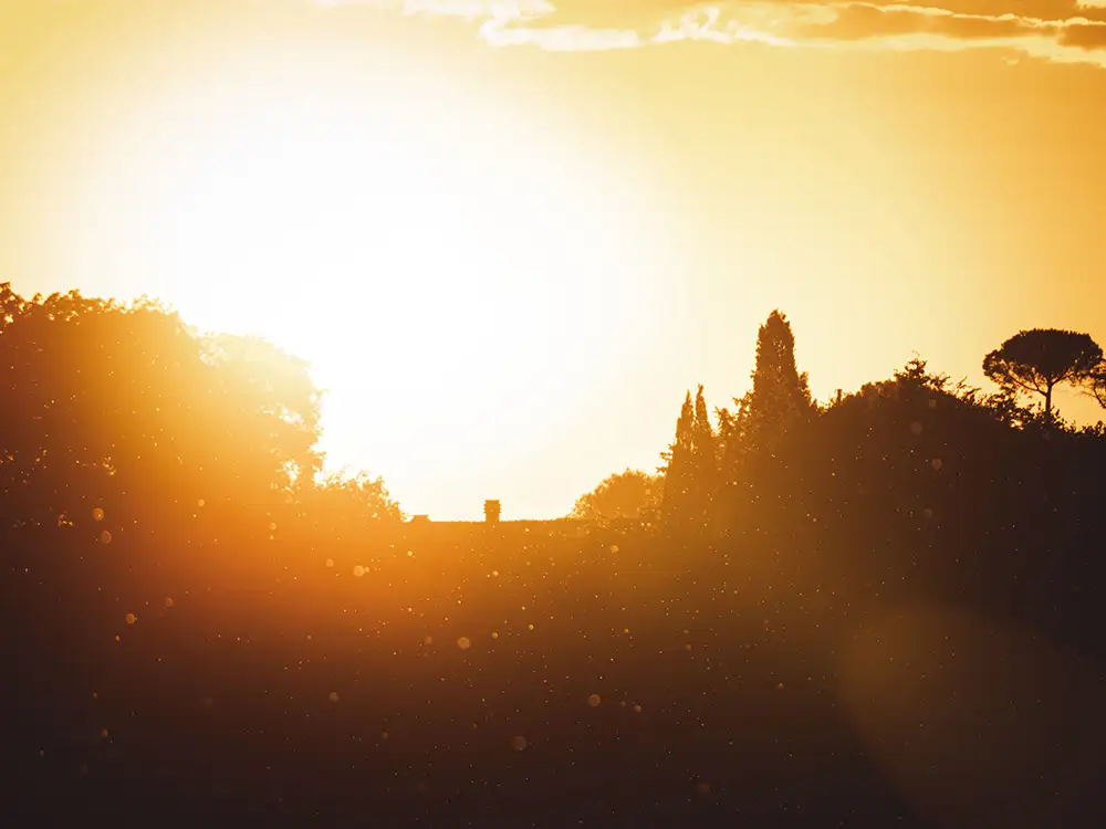 Spending a summer weekend in York as a heatwave hits UK