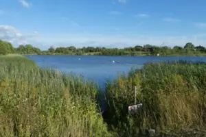 Bird hide set on fire at York lake
