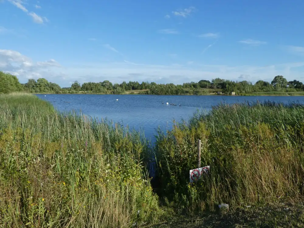 Bird hide set on fire at York lake