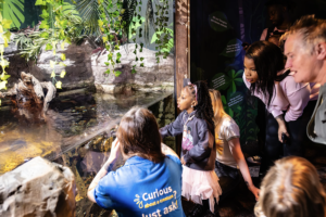 WIN a Keys to the Aquarium experience at the Sealife Centre in Scarborough