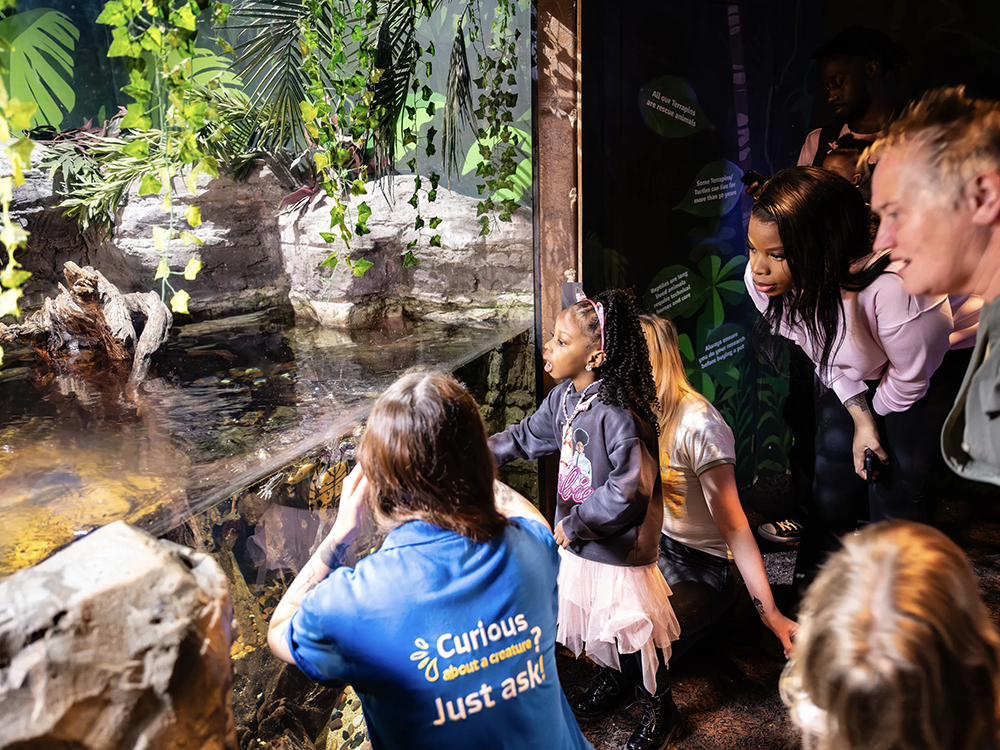 WIN a Keys to the Aquarium experience at the Sealife Centre in Scarborough