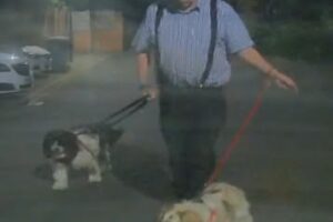 Police CCTV appeal after vehicle damaged in York