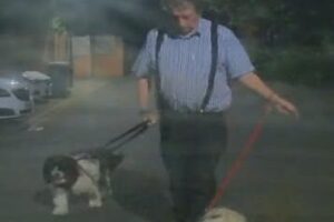 Police CCTV appeal after vehicle damaged in York