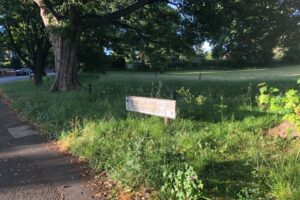 Mayor demands action over a lack of grass cutting in Ripon