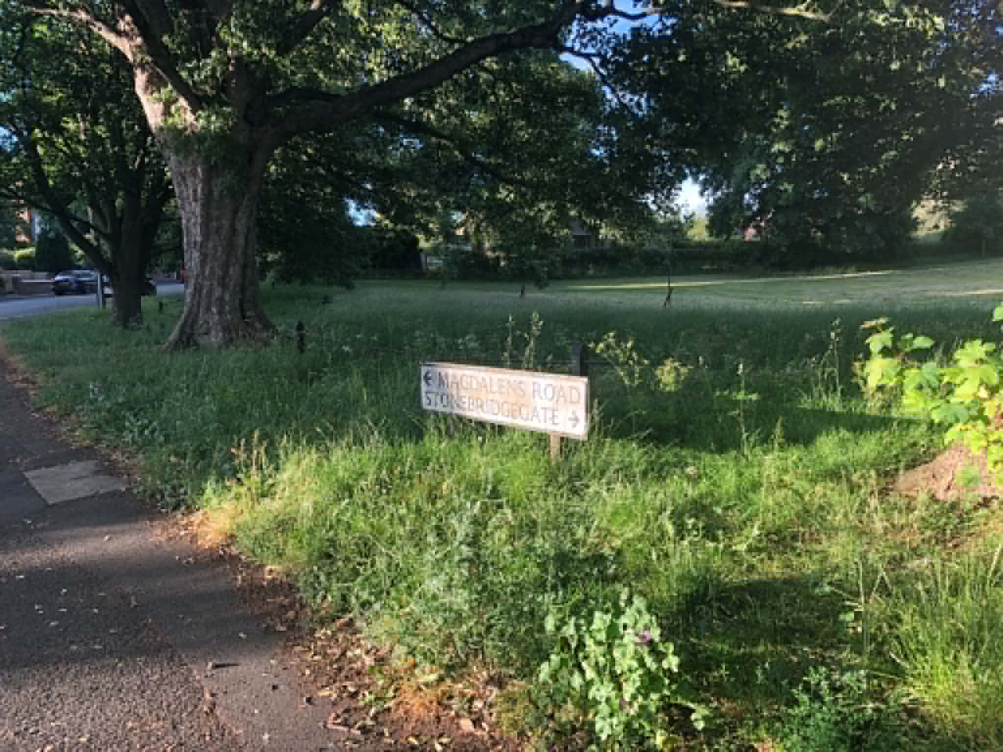 Mayor demands action over a lack of grass cutting in Ripon