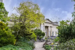 York garden to open after hours – with cocktails, street food and music