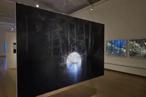 First look inside international art prize exhibition at York Art Gallery