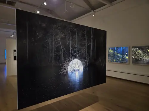 First look inside international art prize exhibition in York