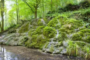 Mountain rescue team save three young people stuck at North Yorkshire beauty spot