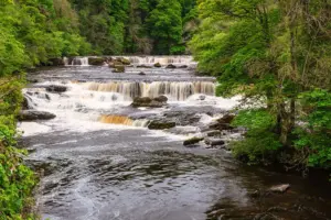 Waterfall rescue at North Yorkshire beauty spot