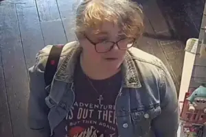 Collectable toys stolen from York store