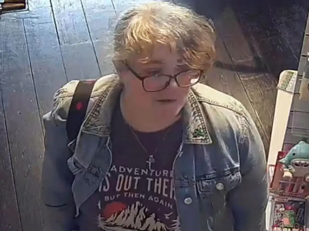 Collectable toys stolen from York store