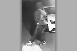 Thief steals multiple items from vehicle in York