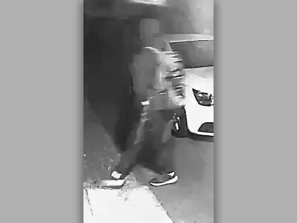 Thief steals multiple items from vehicle in York