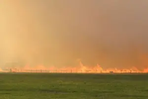 ‘Please avoid the area’: Firefighters battling blaze near the coast