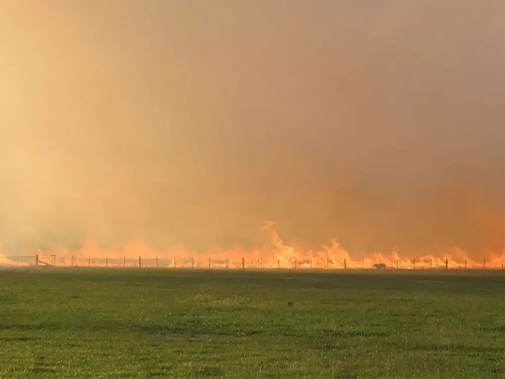 ‘Please avoid the area’: Firefighters battling blaze near the coast