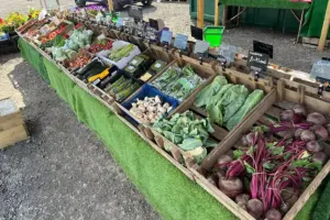 Popular York farm shop ‘at risk’ – and appeals for public support
