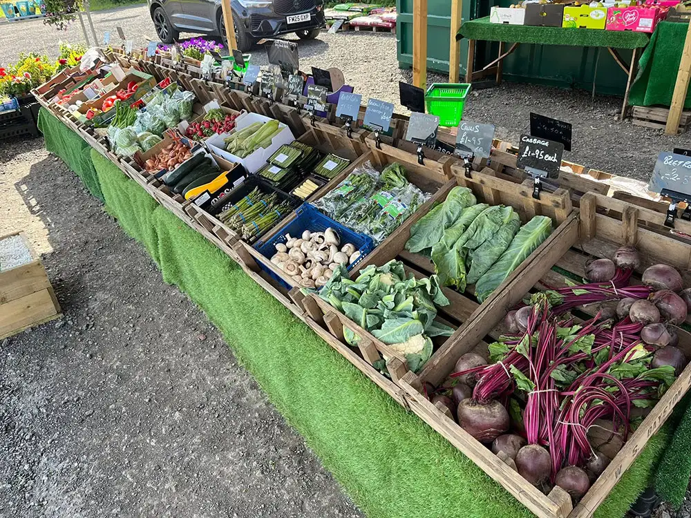 Popular York farm shop at risk of being shut down appeals for public support