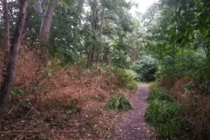 Flooding fears sparked by works to boost wildlife in York