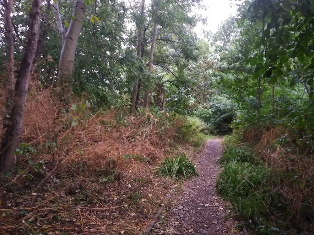 Flooding fears sparked by works to boost wildlife in York