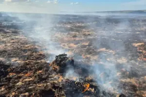 Funding helps restore North York Moors after devastating fire