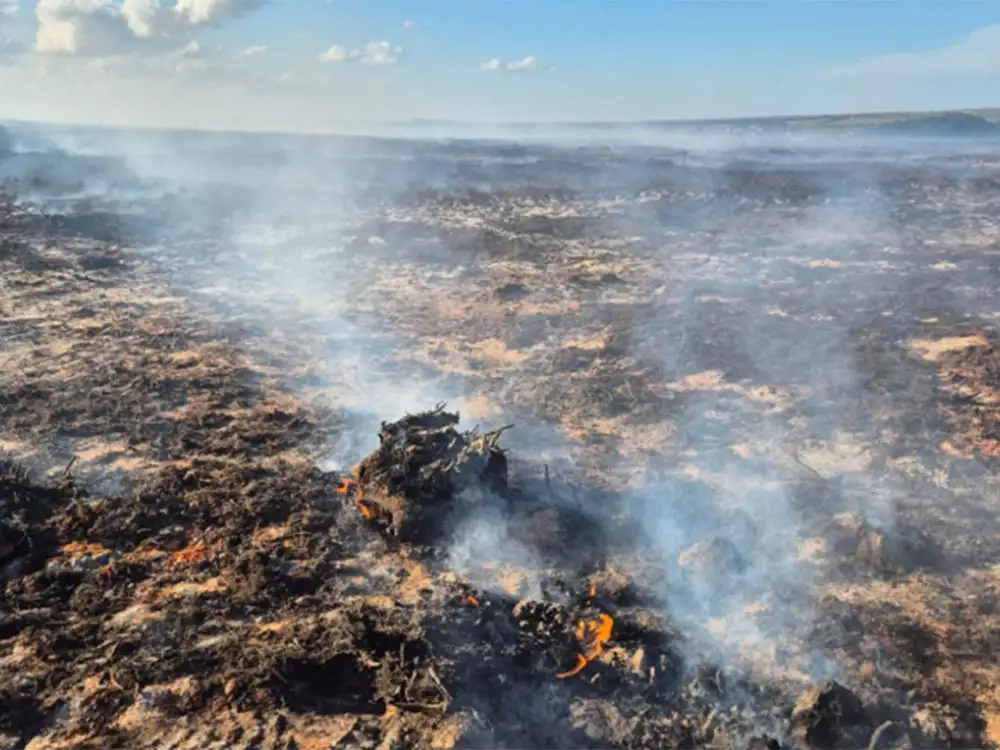 Funding helps restore North York Moors after devastating fire