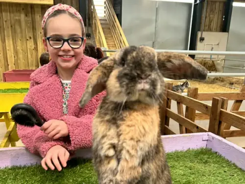Watch the Animal Academy with Monk Park Farm – and WIN a free family pass