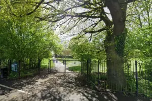 Fire started deliberately in York park