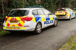 Topless man with machete threatens people in York suburb