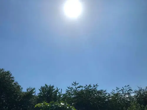 Vale of York now as hot as London in the 1980s as warmth moves north