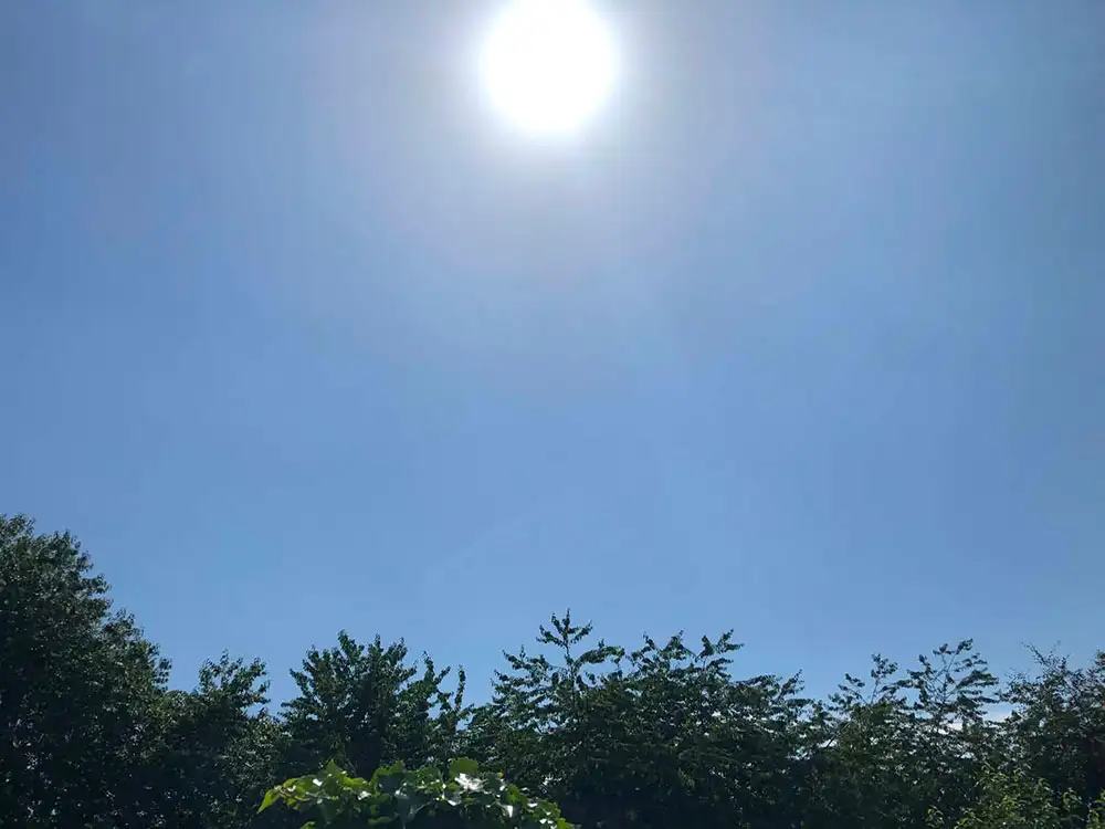 Vale of York now as hot as London in the 1980s as warmth moves north