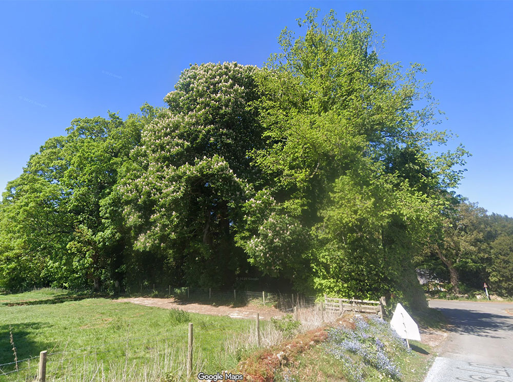 Fire started deliberately in North York Moors wood