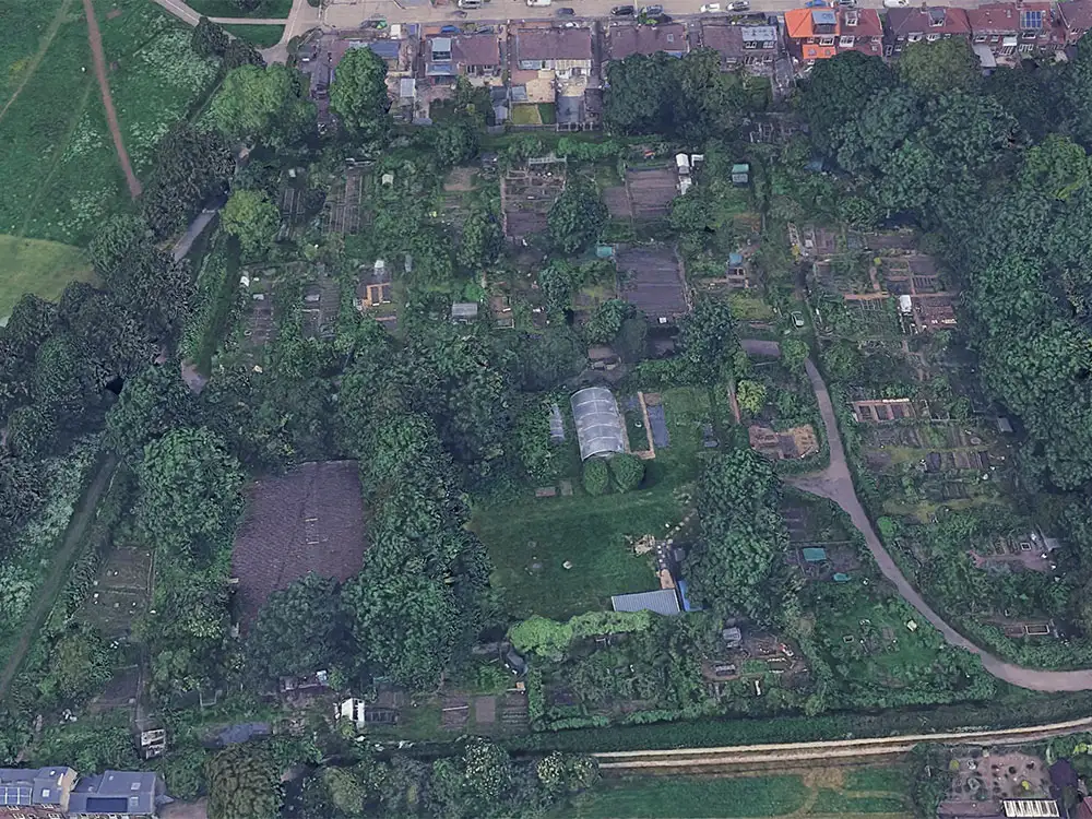 Police investigate arson attack at York allotment