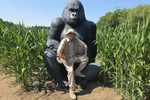 Watch: York Maze reveals its giant tribute to Sir David Attenborough