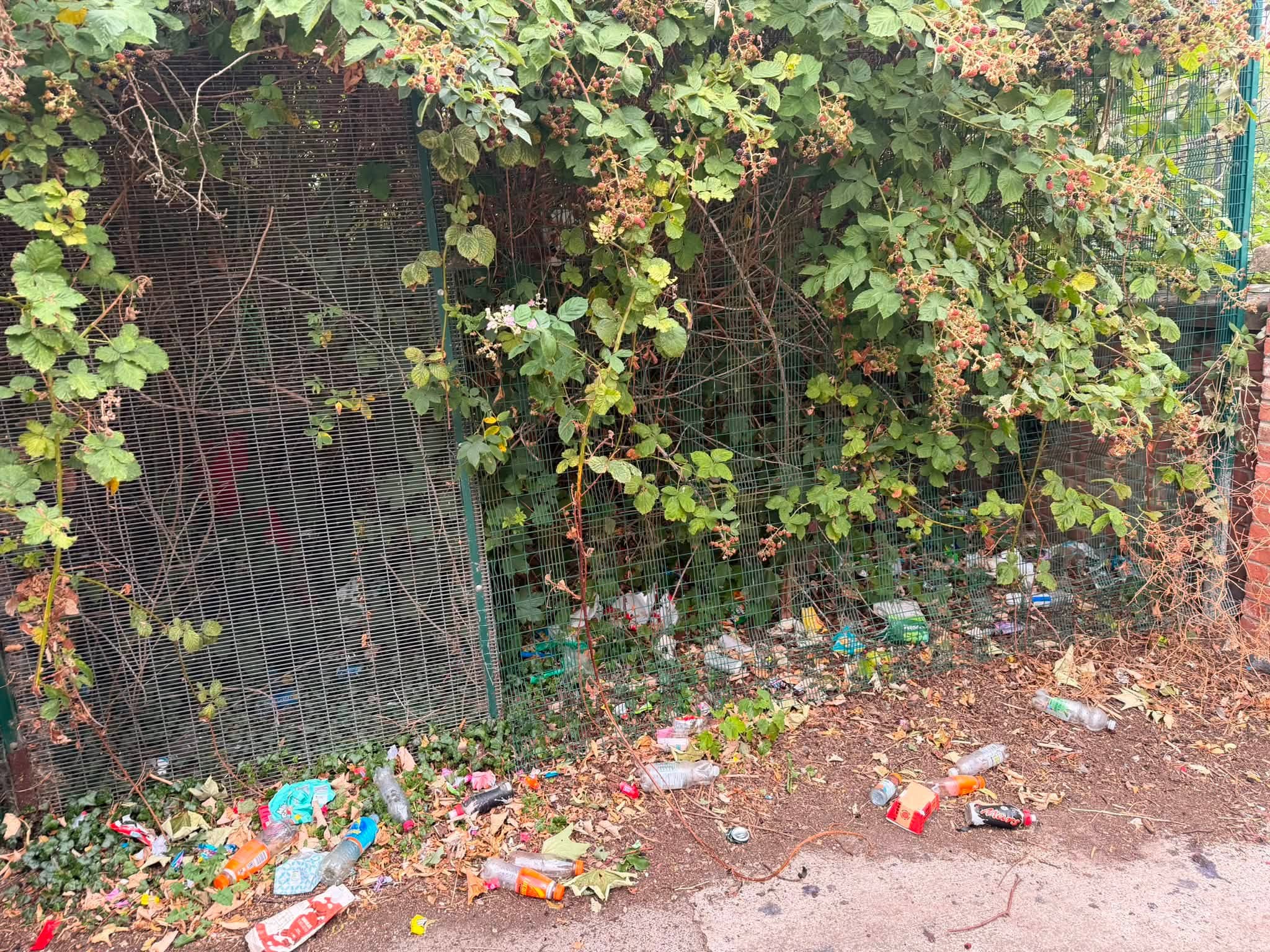 Warning to troublemakers after problems at North Yorkshire skate park