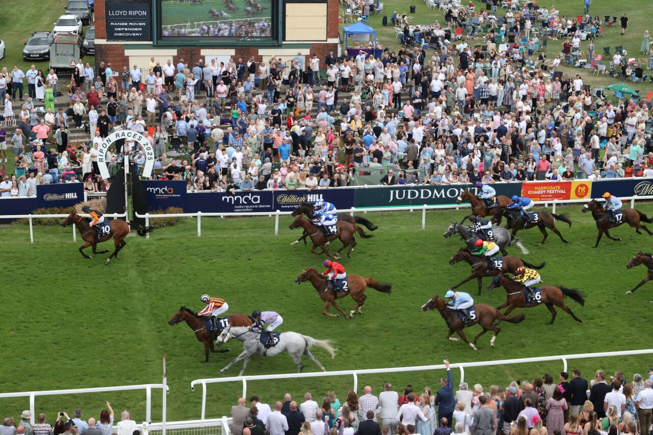 Ripon is under starter’s orders for its biggest race day of the year