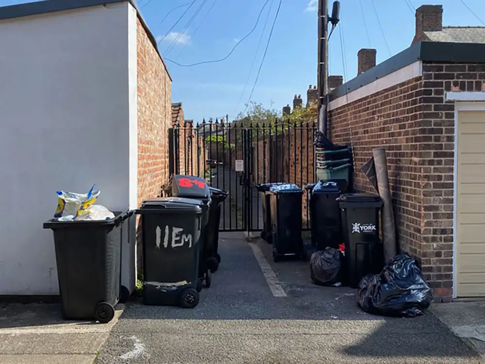 The big stink: York bins left uncollected for weeks attract vermin and flies
