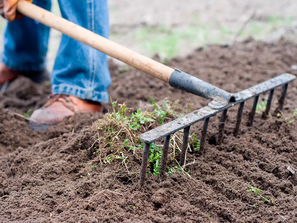 Casualty taken to hospital after foot impaled by rake