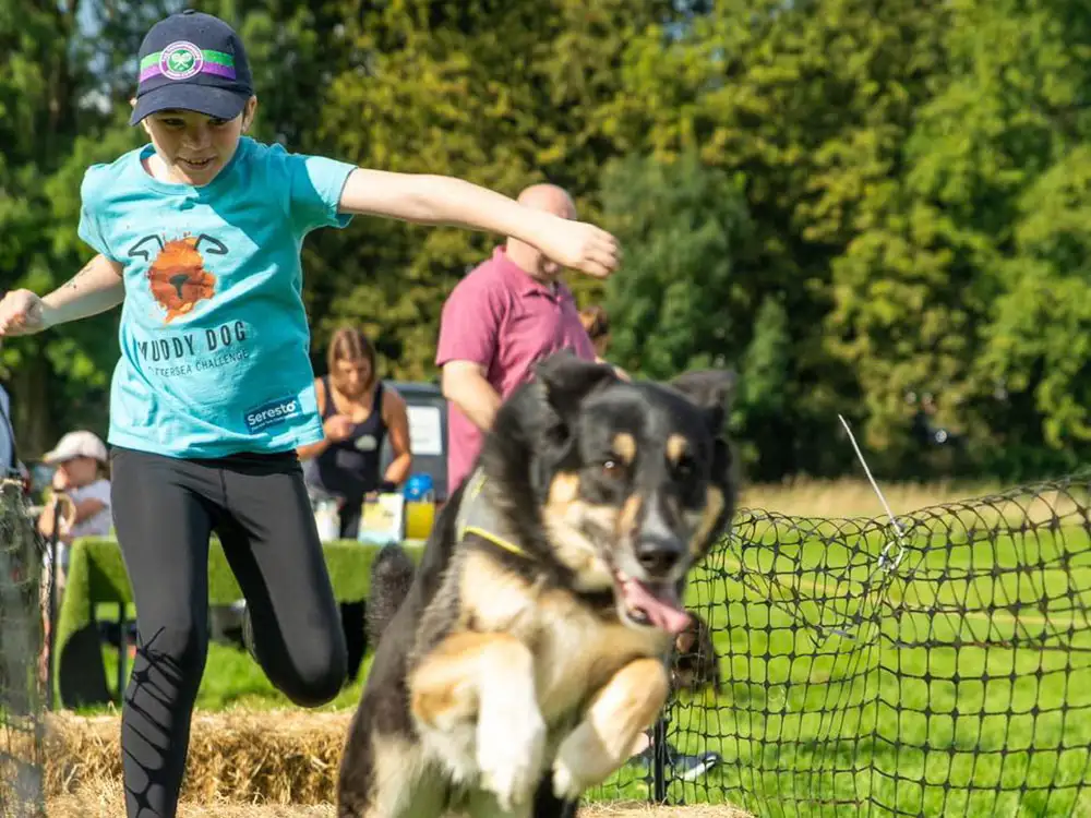 TV star to judge first ever York Dog Show in the heart of the city