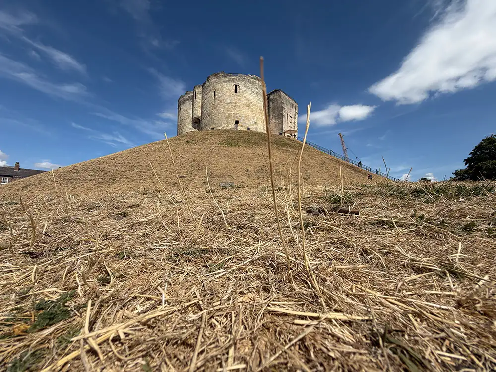 Scorched city: 40+ pictures of how summer heatwave has changed York