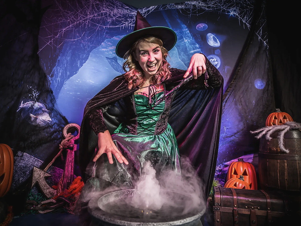 North Yorkshire aquarium launch a spooky and splashy Halloween experience
