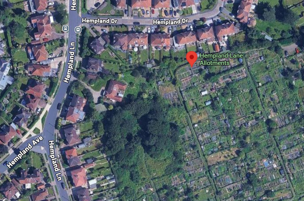 York allotments could get protected status