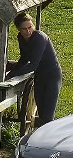 Thief takes off with honesty box in Scarborough