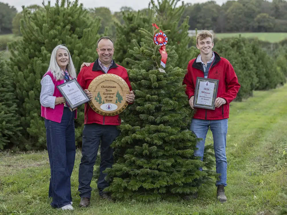 York firm to supply the Christmas tree for outside 10 Downing Street