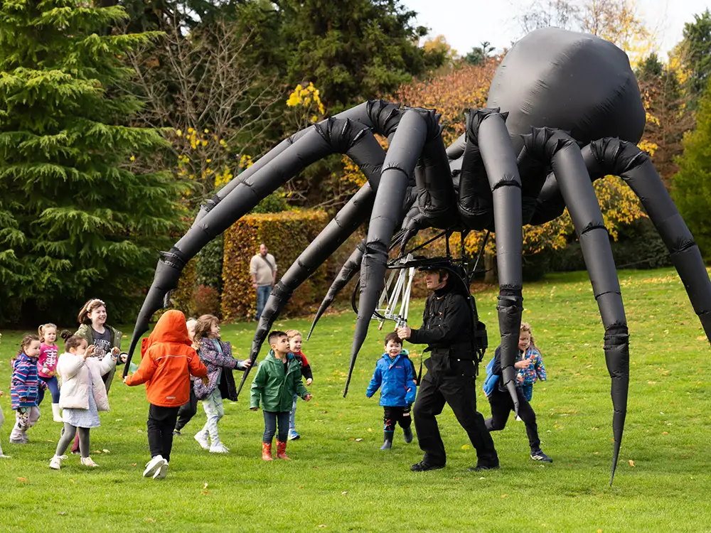A giant creepy crawly is coming to York city centre
