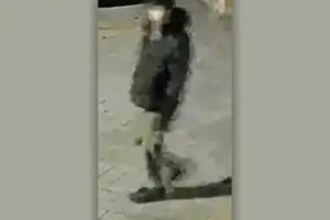 Police investigate ‘vehicle interference’ on York street