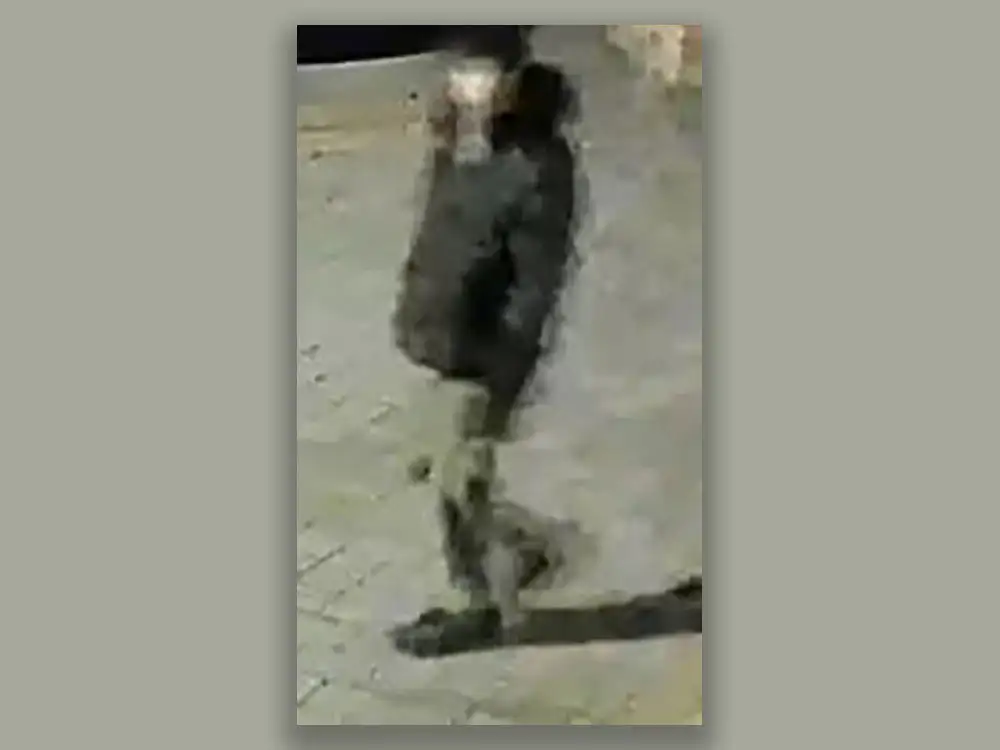 Police investigate ‘vehicle interference’ on York street
