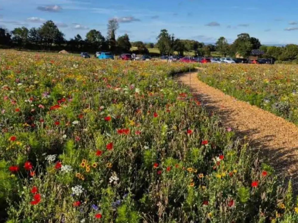North Yorkshire flower farm seeks longer opening after breaching planning rules