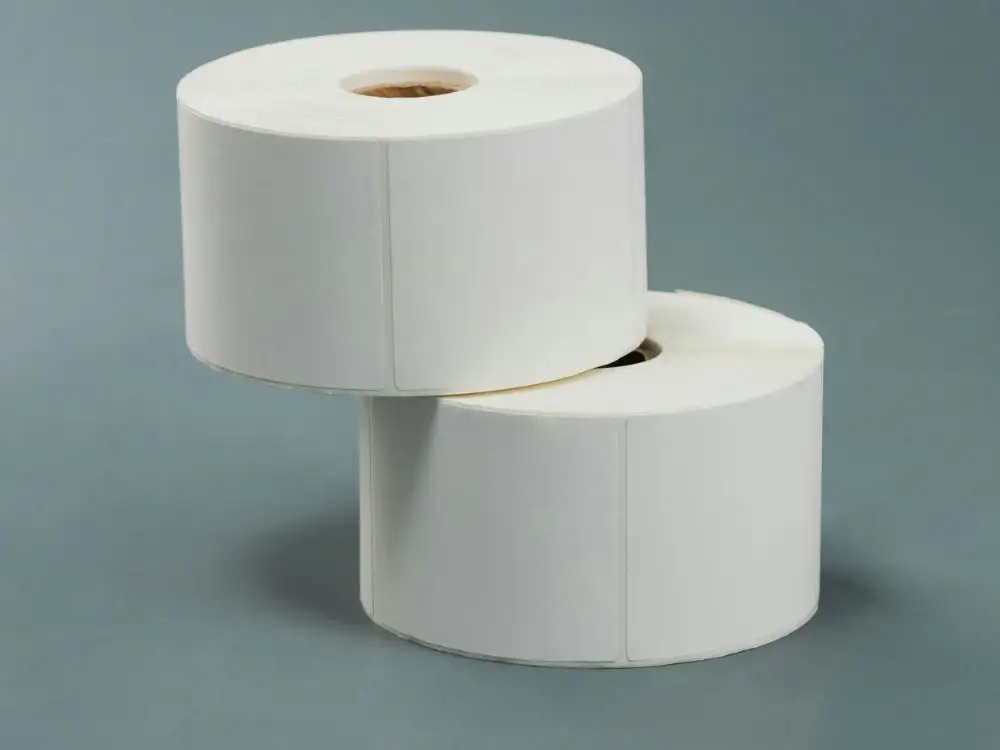 Industrial sized toilet rolls set on fire in seaside park