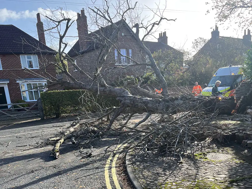 Phone lines down, a chimney stack collapses and toilets hit by tree – Storm Boelo latest